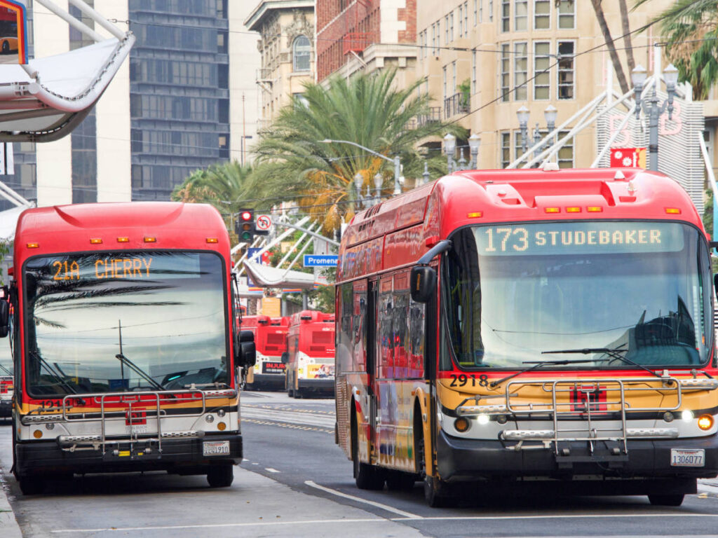 View of buses in Long Beach