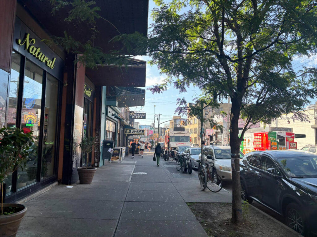 View of the shops and sidewalk in Bushwick