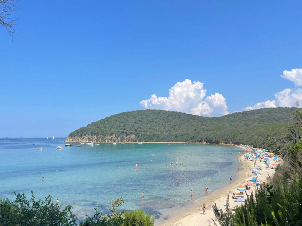 Overlooking panoramic view of Cala Violina surrounded by greenery