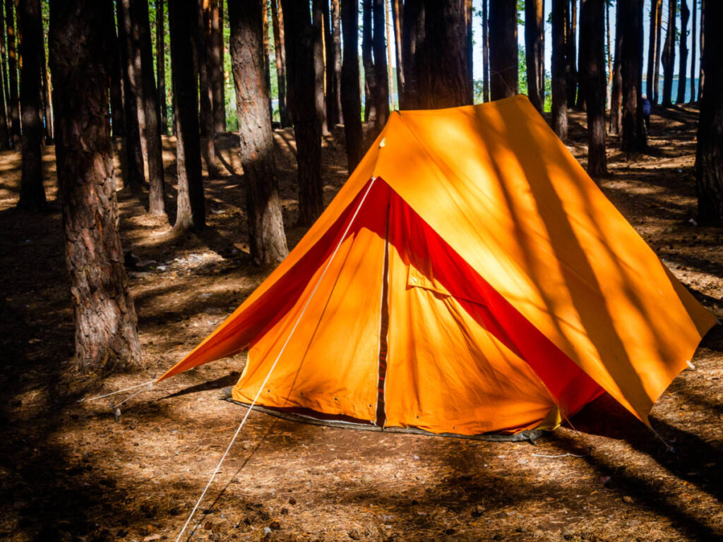 A vibrant yellow and red camping tent in the middle of the sequoia trees