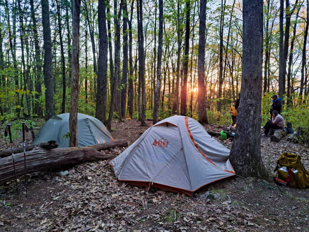 View of the camping tents and the hikers relaxing in the middle of the trees at sunset