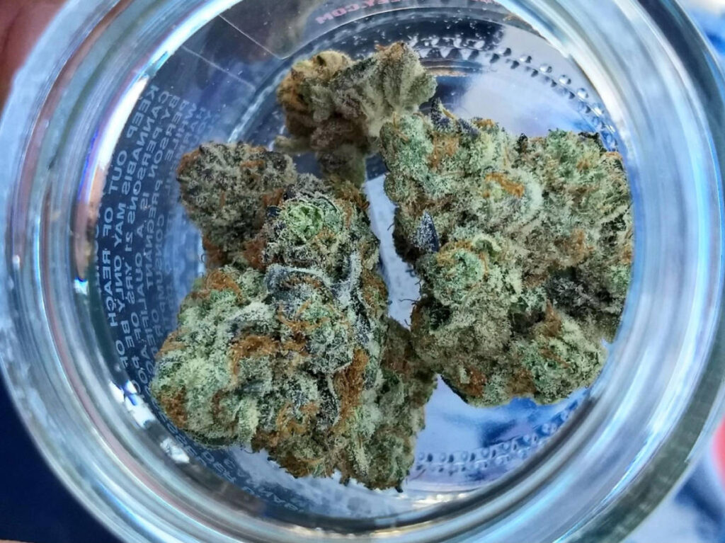 A cannabis flower on a small container