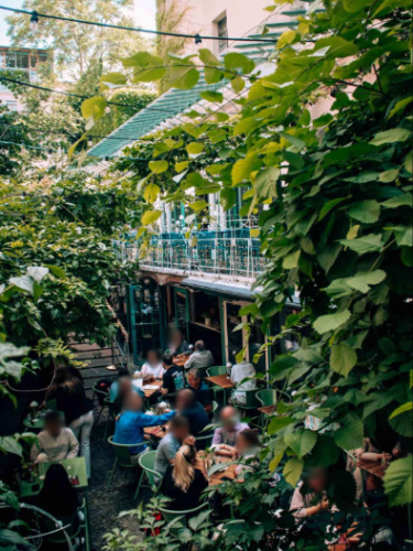 People enjoying at the  terrace surrounded by greenery at Capvin
