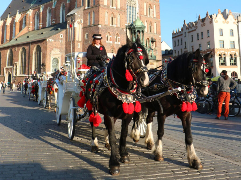 A horse-drawn carriage on a scenic ride around Kraków