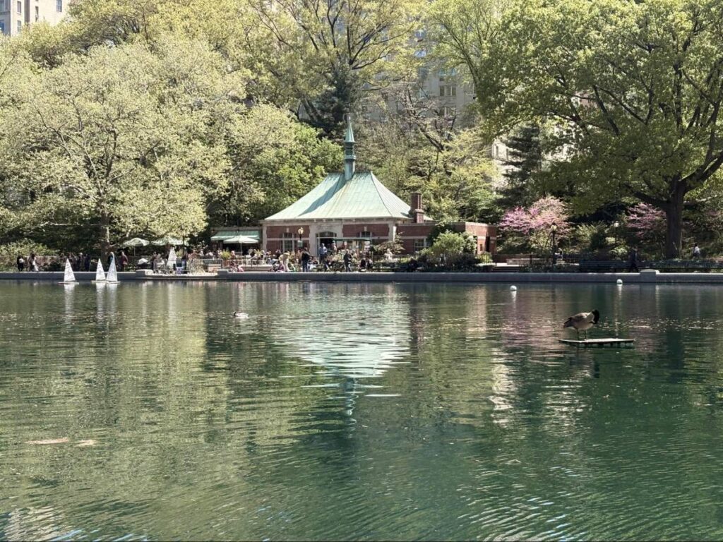 View of the calm waters at Central Park Boathouse