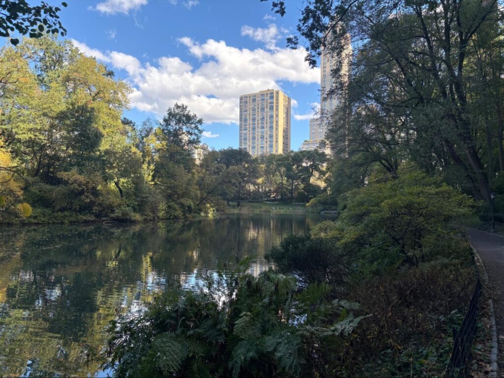 View of the calm waters and greeneries at Central Park South