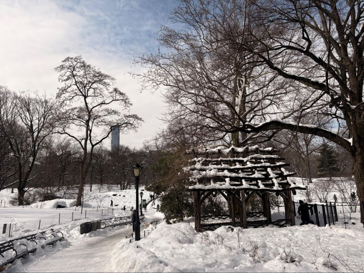 The Billy Johnson Playground in Central Park during Winter