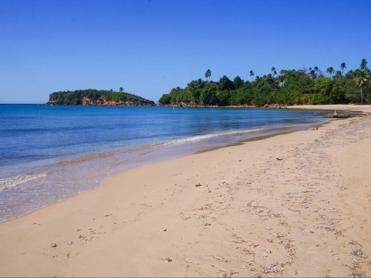 View of the greenery from the white sand shoreline of Cerro Gordo Beach
