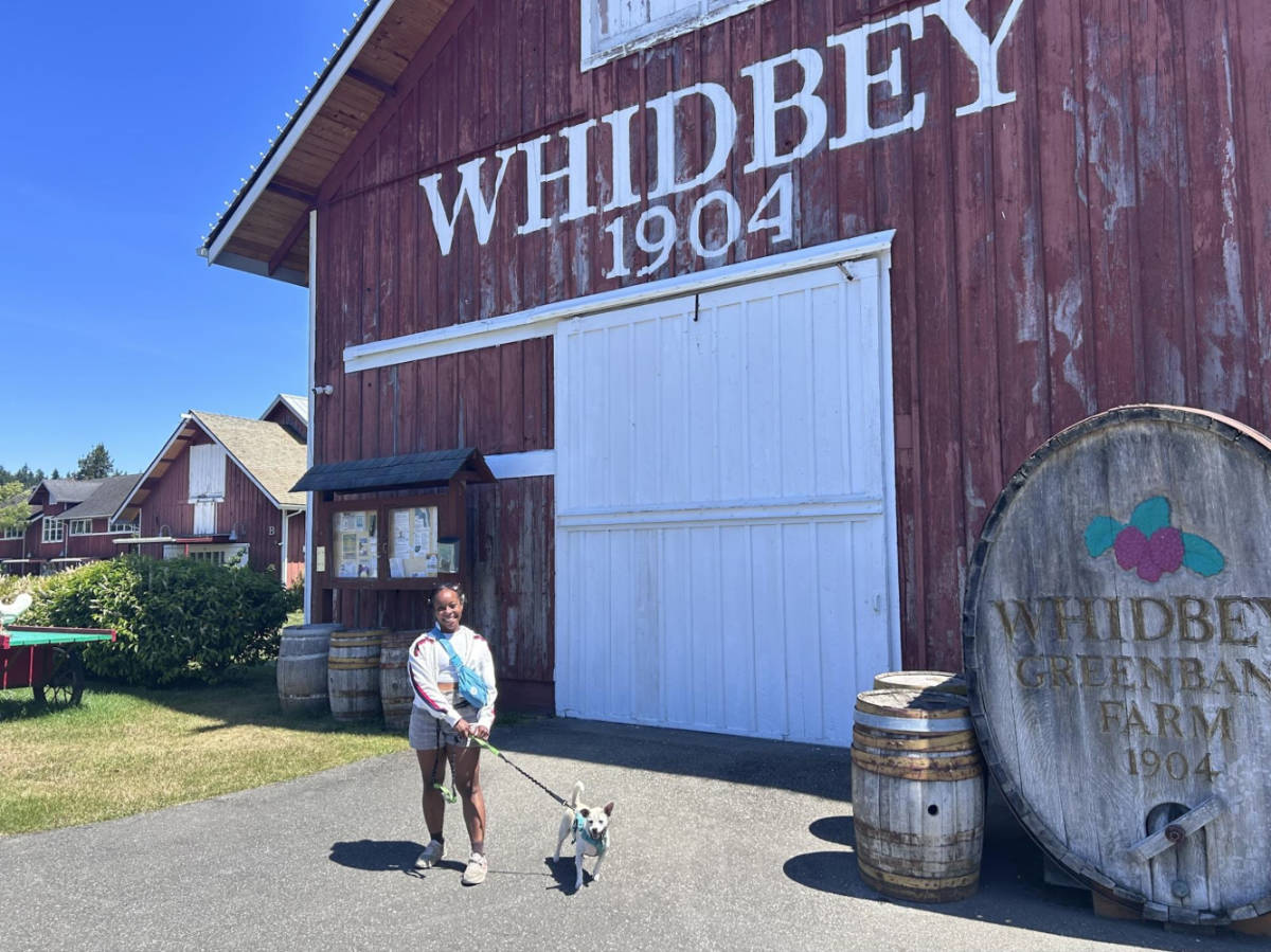 The author Chelsea and her dog, wandering around Greenback Farm
