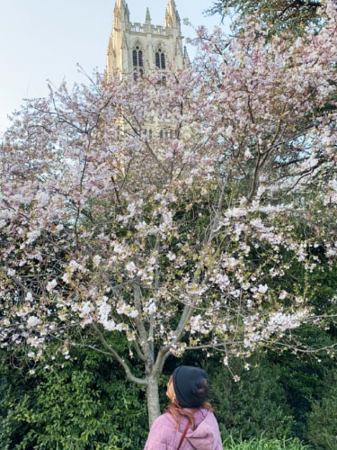 The author, Alexandria Taylor looking at the cherry blossoms in Washington National Cathedral