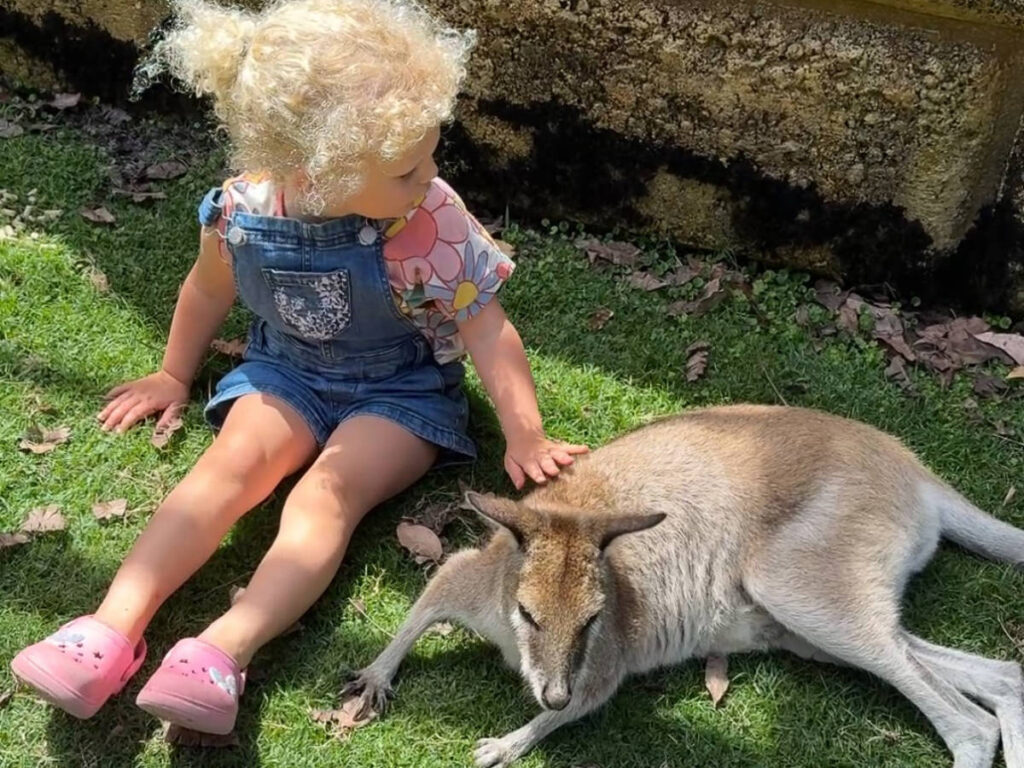 A child petting the animal at Caversham