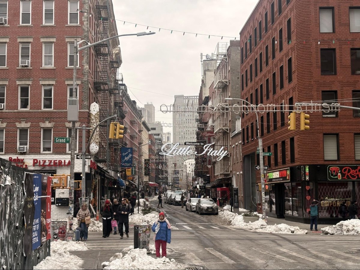View of the Little Italy/Chinatown border during Winter