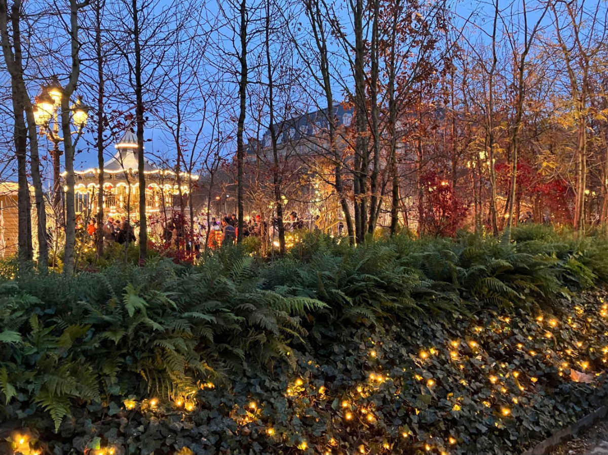 The Christmas fair seen behind the foliage illuminated at night