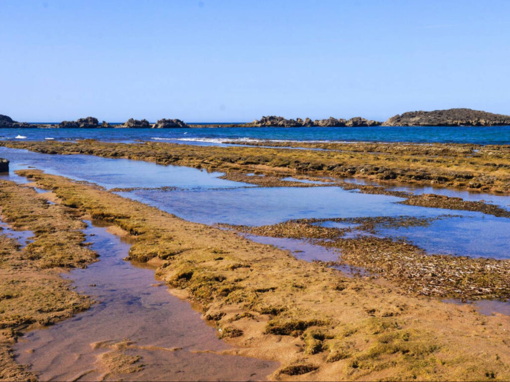 View of the Cibuco Beach during low tide