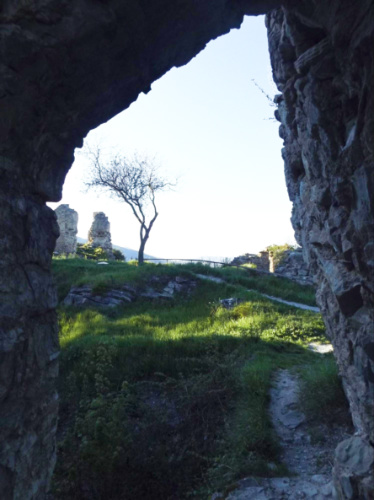 View of the greenery from the Ujarma Fortress