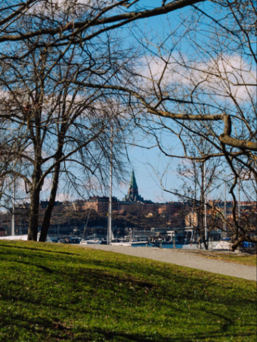 City skyline views from Djurgården National Park