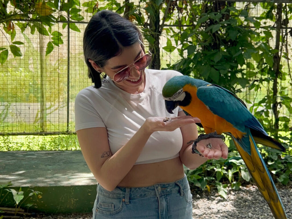 The author Claudicet Pena feeding a Macaw Parrot at the National Zoo of Dominican Republic