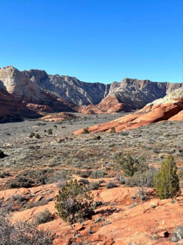View of the Sandstone cliffs at Snow Canyon State Park