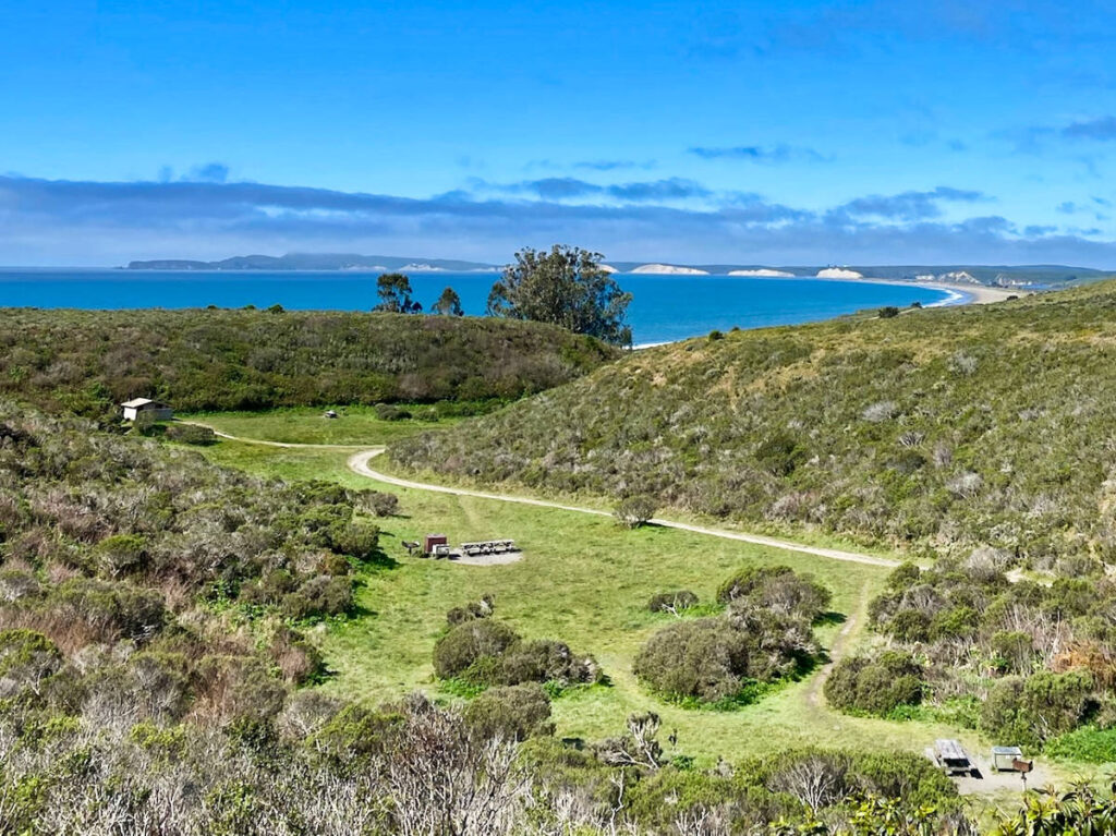 Aerial view of the greenery around the campsites at Coast Campground