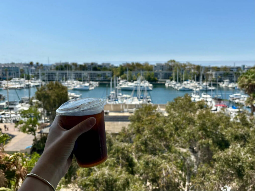 A hand holding a cup of coffee with an overlooking view of the Marina Boats