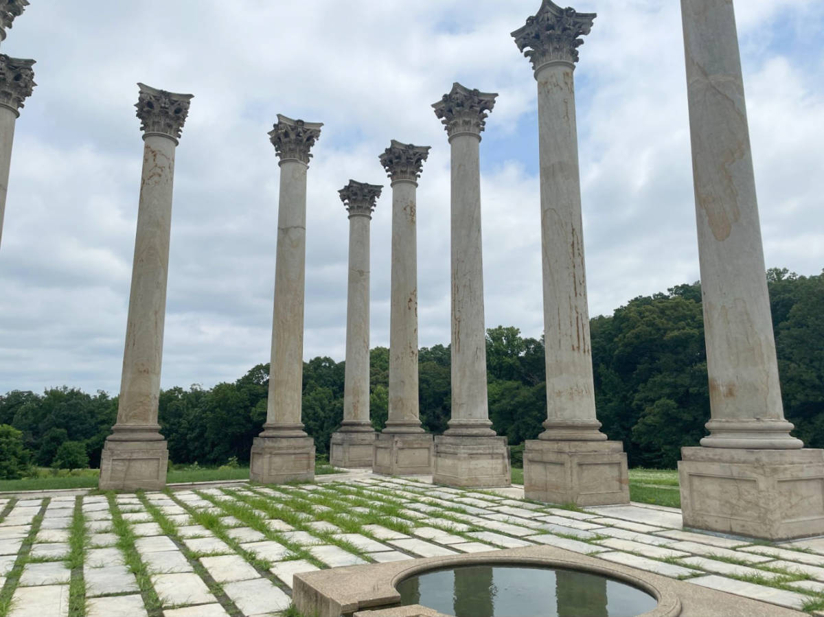 Perspective view of the columns of the National Arboretum