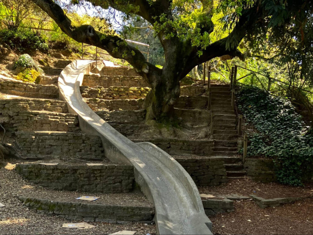 A concrete slide near a huge tree at the Codornices Park Concrete Slide