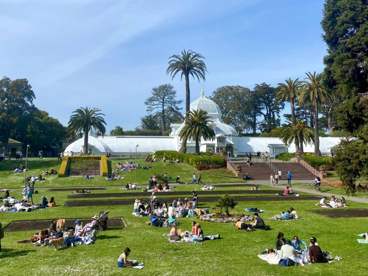 People enjoying their day at the Golden Gate Park during a sunny morning