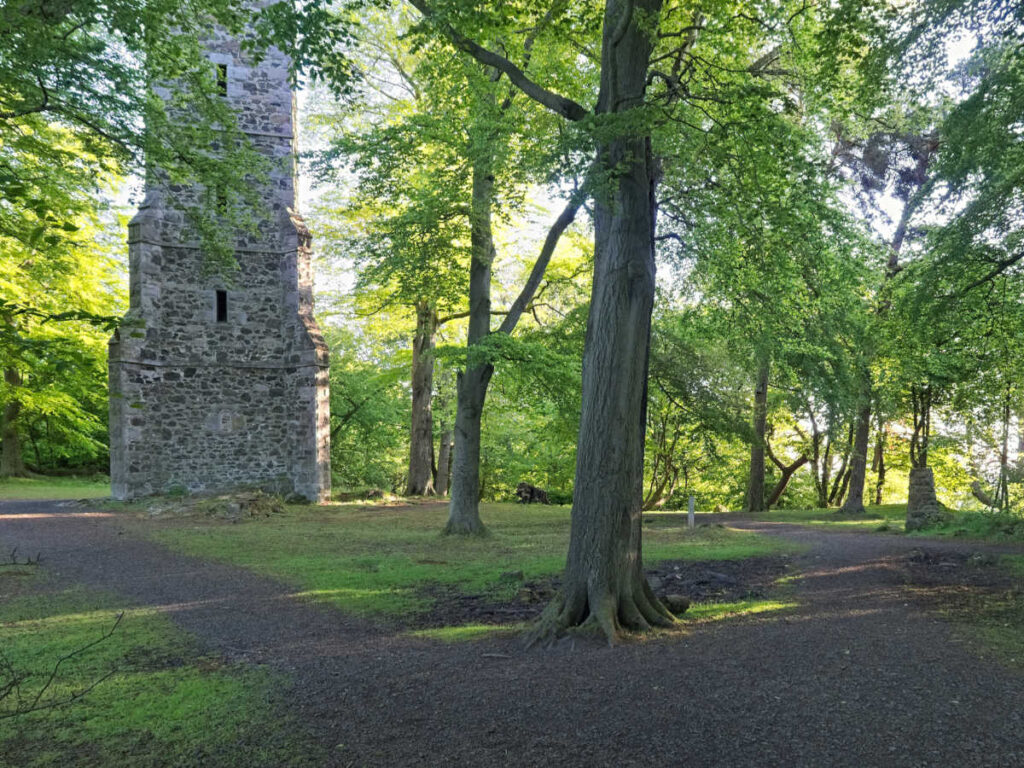 The Corstorphone Hill Tower surrounded by greenery in Hillwood Park