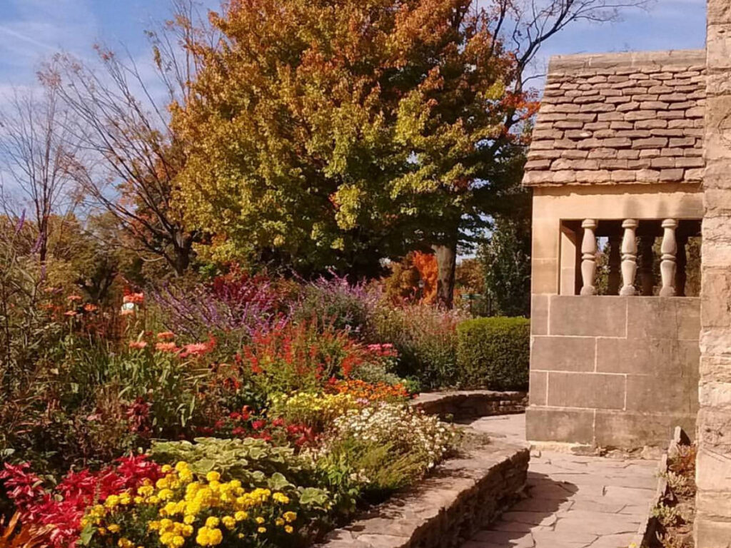 The colorful fall foliage outside the Cotswold Cottage at The Henry Ford