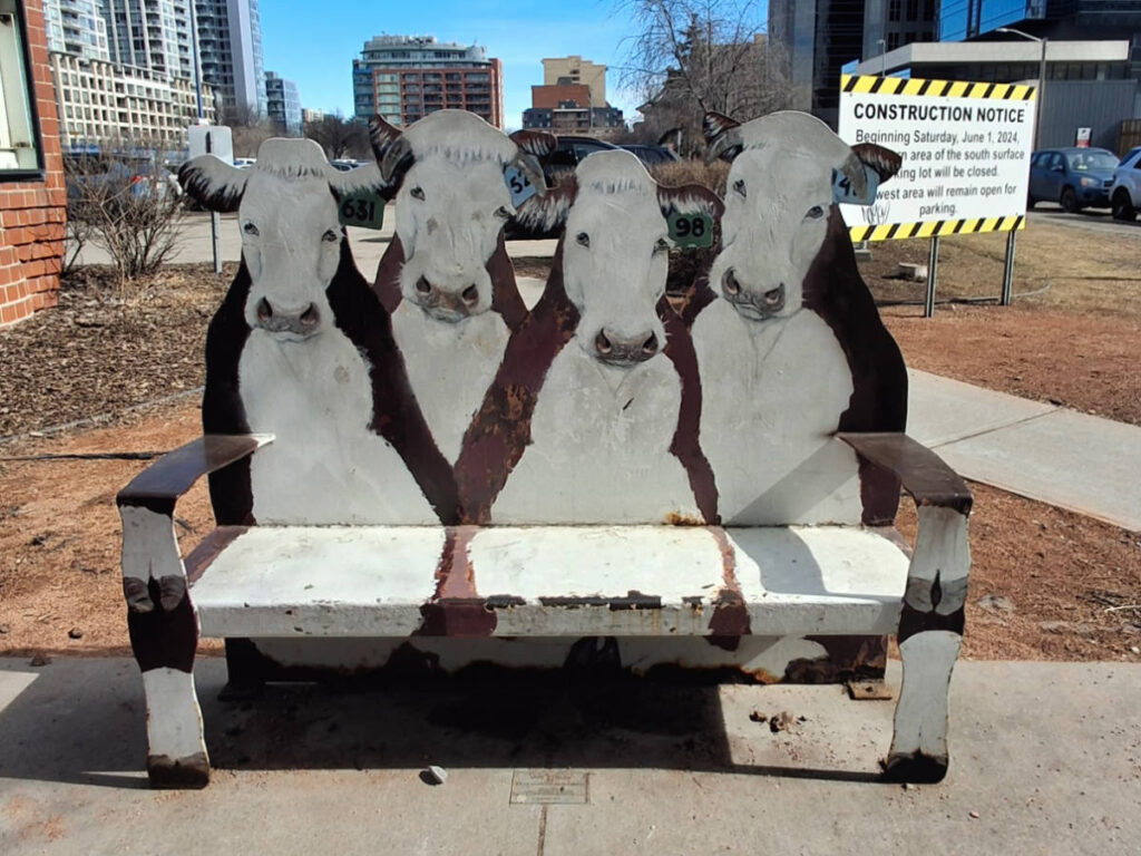 The cow-inspired bench