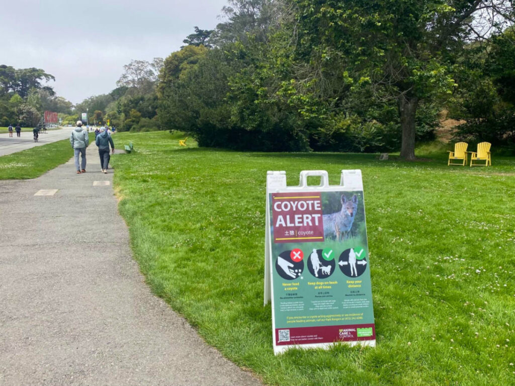 A coyote warning sign at the Golden Gate Park