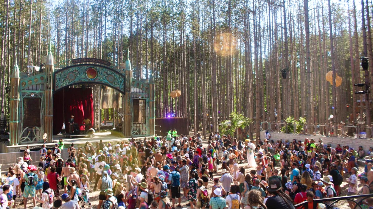 View of the crowd at the music venue surrounded by tall pines