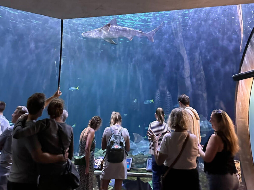 People enjoying at the Shedd Aquarium