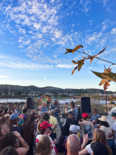 The crowd watching the live performance at The Ecology Center on a sunny day
