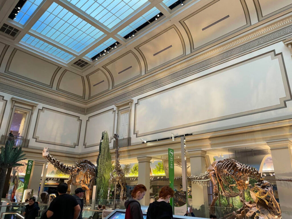 People looking at the dinosaur exhibit at the Smithsonian National Museum of Natural History