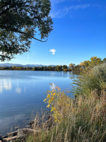 The blue sky reflecting on the serene water at Crown Hill Park