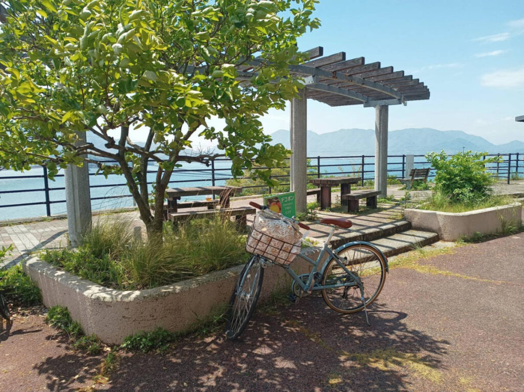 A bicycle at the pergola resting area