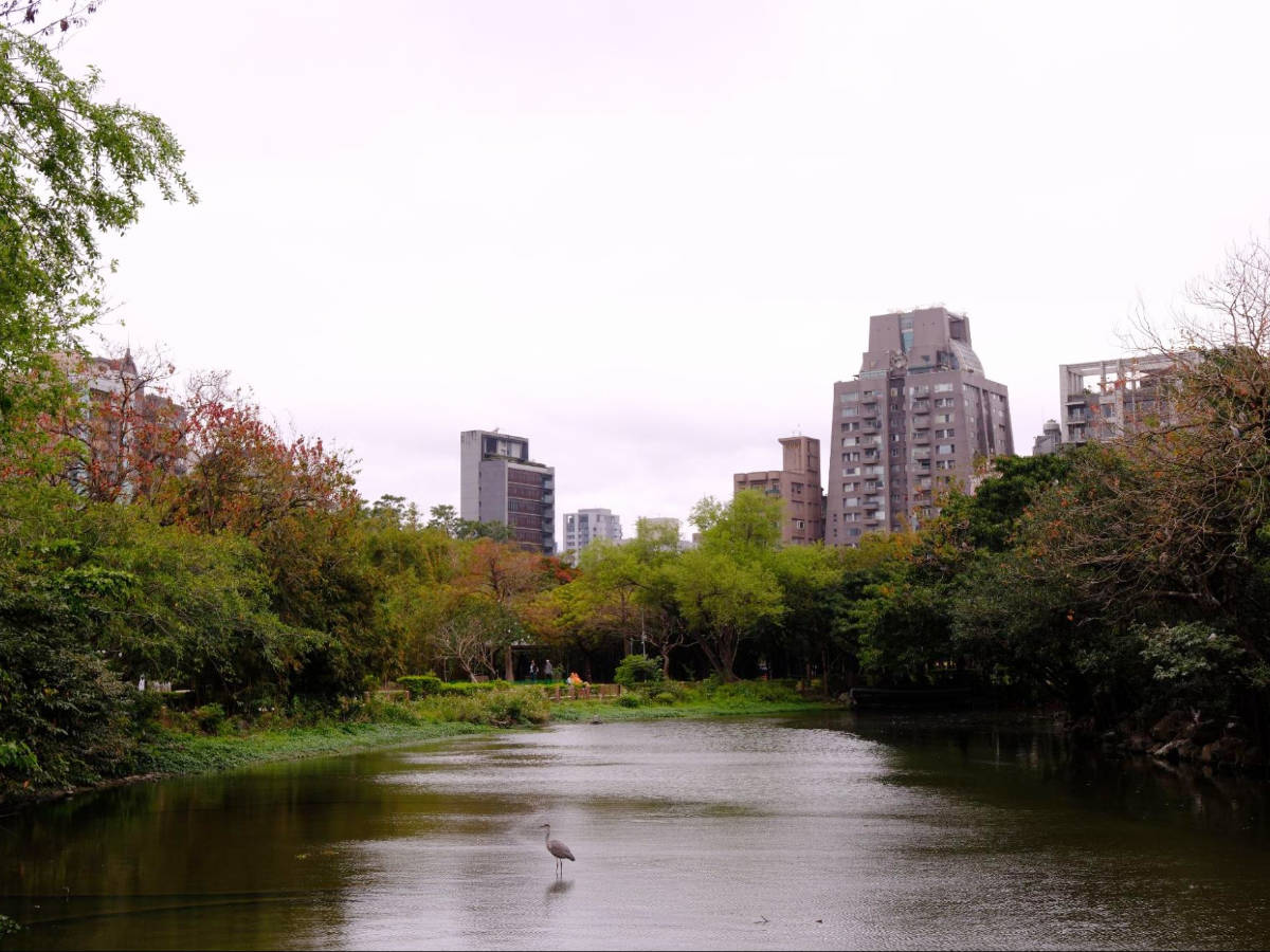 Dark sky over Da’an Park