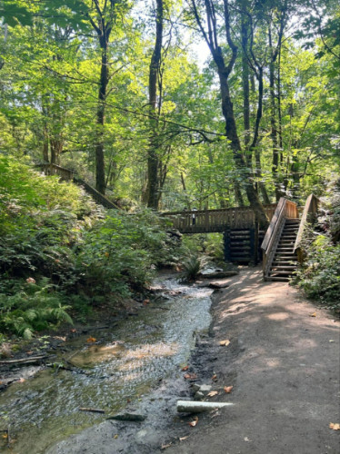 View of a trail at Dash Point State Park