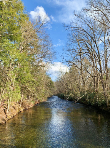 Blue sky over the Davidson River in Brevard