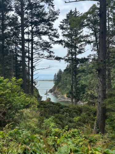 Overlooking view of the Deadman’s Cove at Cape Disappointment State Park