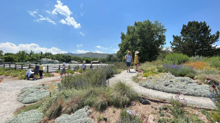 People wandering around the Denver Botanic Gardens at Chatfield Farms in Littleton