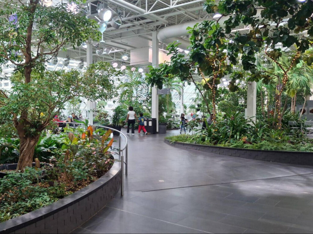 The greenery at the Devonian Botanical Gardens