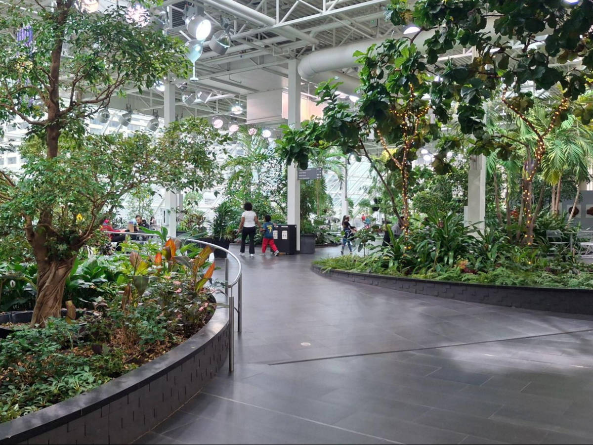 The greenery at the Devonian Botanical Gardens