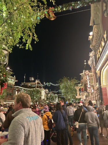 People at night in Disneyland Park