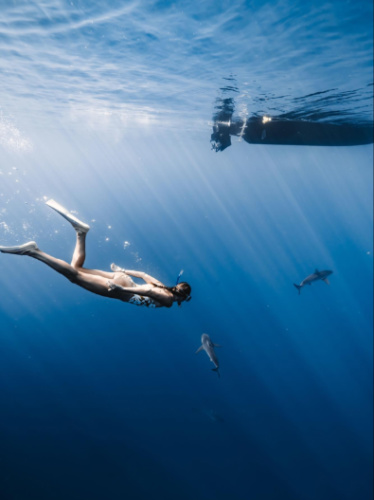 The author Rebecca Parsons diving with the Galapagos sharks