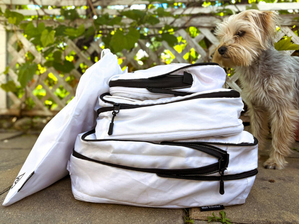 The author's dog checking out the stack of Well Traveled Packing Cubes