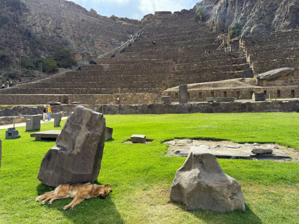 A dog napping under the rock's shadow at the Ollantaytambo ruins