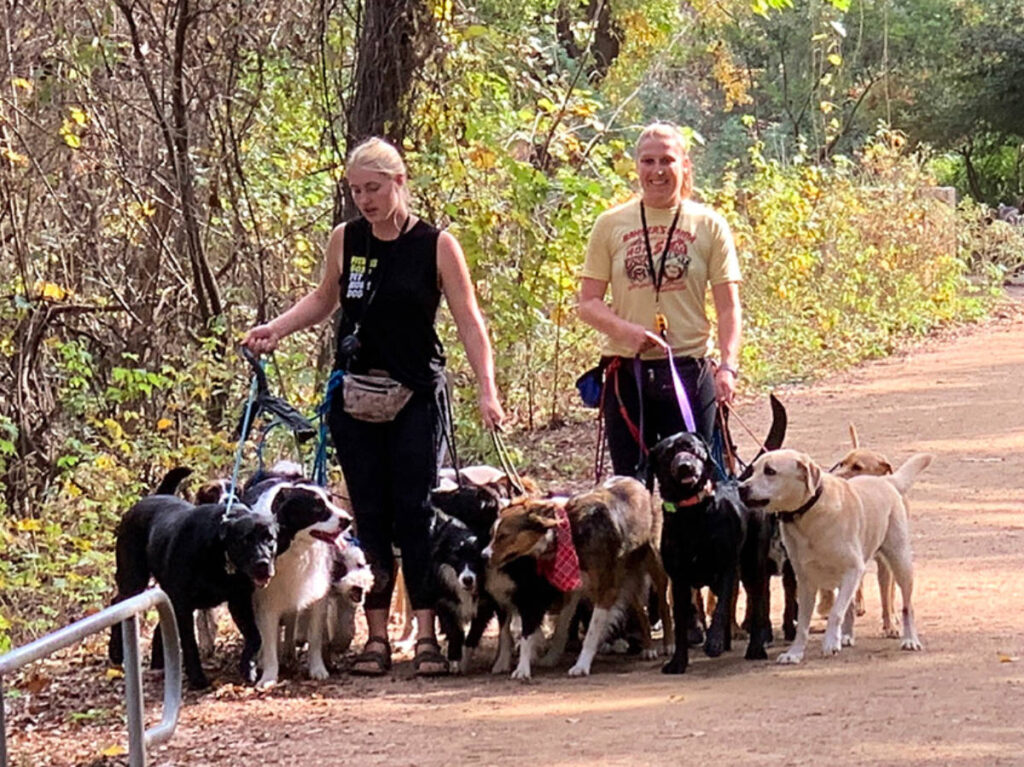 Dogwalkers walking along the trails near Auditorium Shores