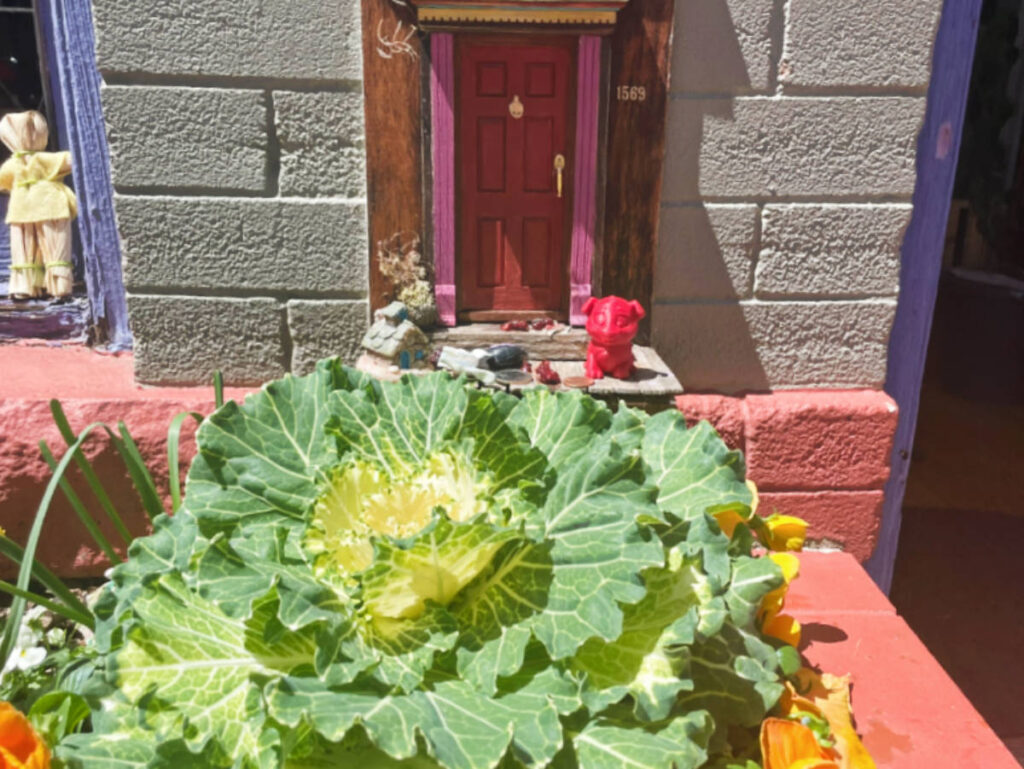 A fairy door found at the windowbox garden at Ruby’s Market
